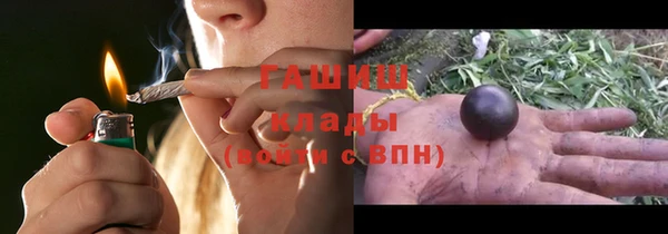 тгк Вяземский