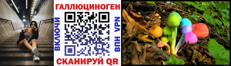 Галлюциногенные грибы Psilocybe  сколько стоит  Нолинск 